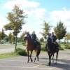 bild024