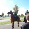 bild025