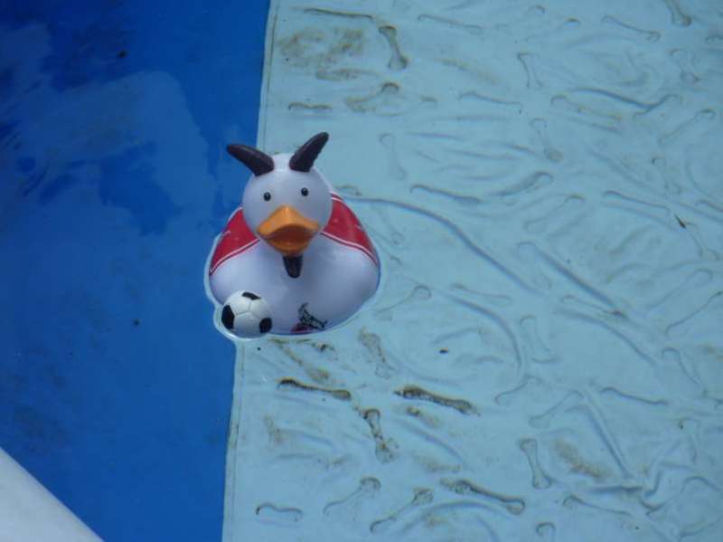 bild004
