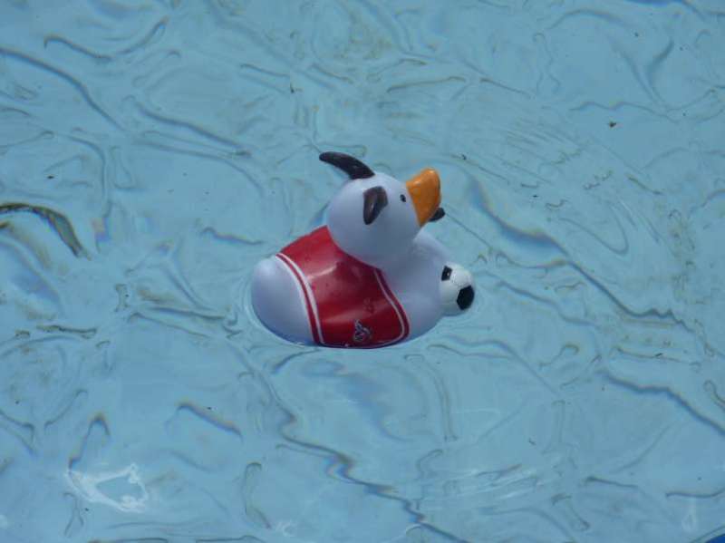 bild005