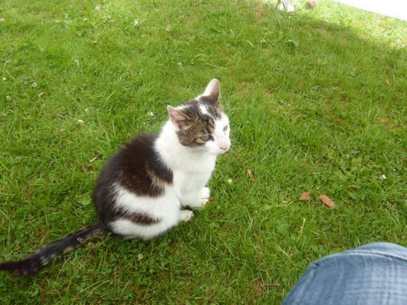 bild011