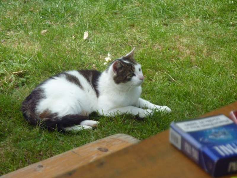 bild016