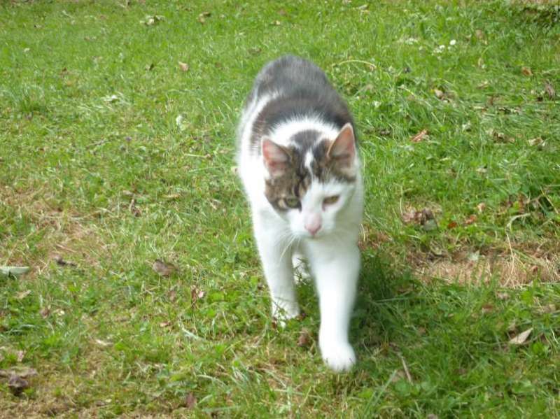 bild019