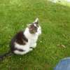 bild011