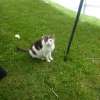 bild014