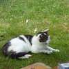 bild015