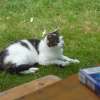 bild016