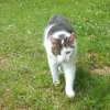 bild019