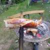 bild114
