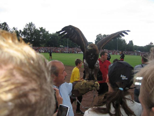Bild016