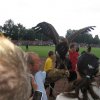 Bild016